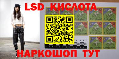 Альфа ПВП Будённовск