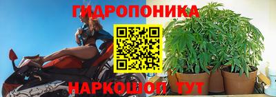 Альфа ПВП Будённовск