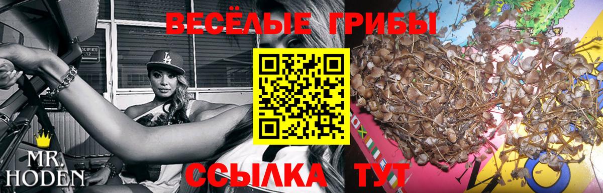 Купить наркоту  Бошки Шишки  Марихуана  COCAIN  Гашиш  Альфа ПВП СК кристаллы  Вход с VPN  Пугачёв  Меф  
